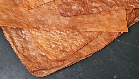 kombucha scoby leather